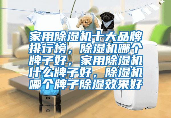 家用除濕機十大品牌排行榜，除濕機哪個牌子好，家用除濕機什么牌子好，除濕機哪個牌子除濕效果好