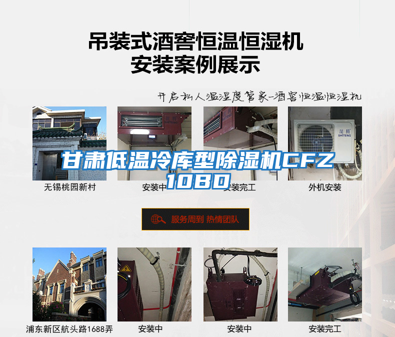甘肅低溫冷庫型除濕機(jī)CFZ10BD
