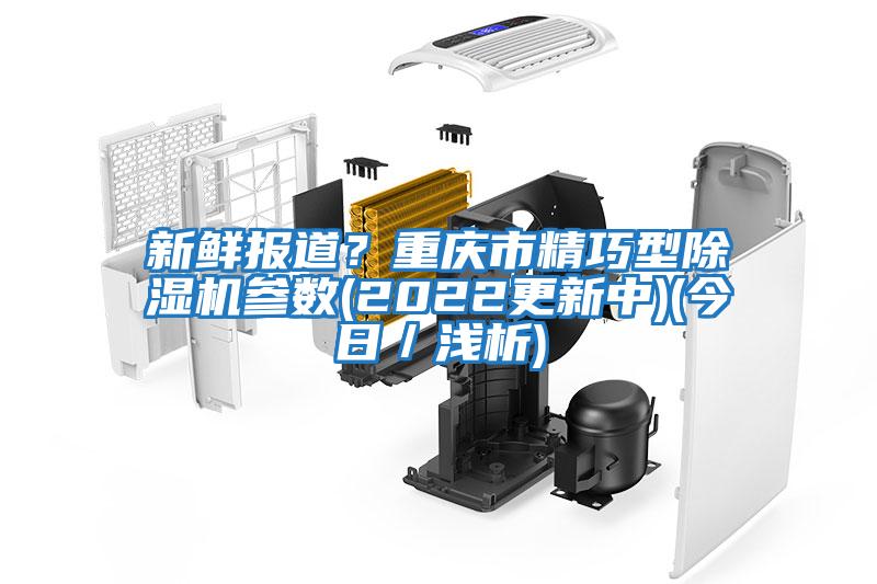新鮮報道？重慶市精巧型除濕機參數(2022更新中)(今日／淺析)
