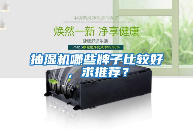 抽濕機哪些牌子比較好，求推薦？