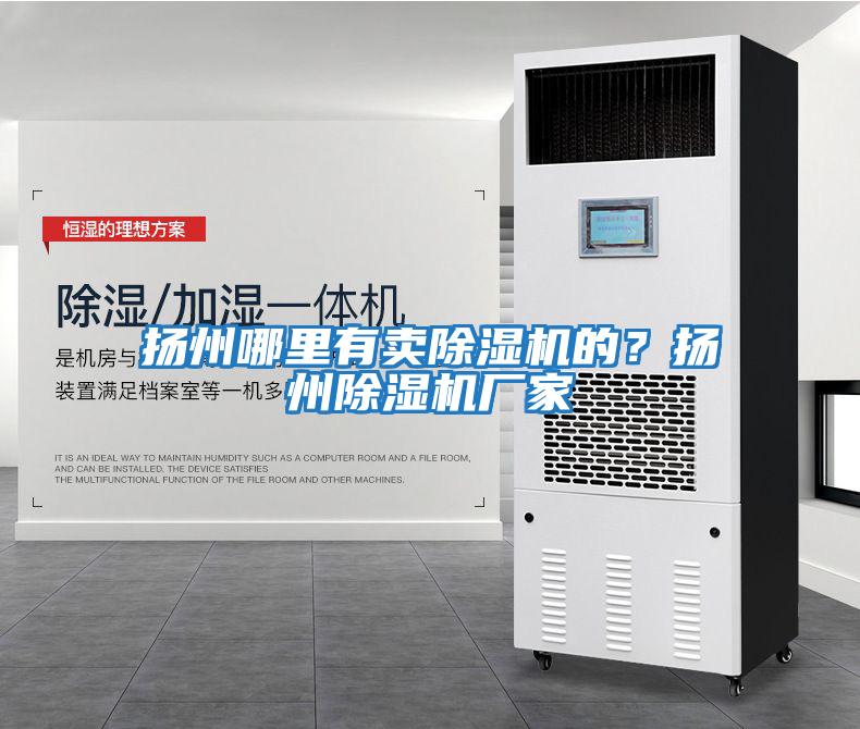 揚州哪里有賣除濕機的？揚州除濕機廠家