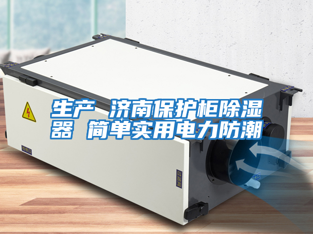 生產(chǎn) 濟(jì)南保護(hù)柜除濕器 簡單實用電力防潮