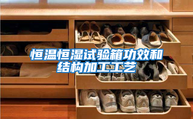 恒溫恒濕試驗箱功效和結(jié)構(gòu)加工工藝