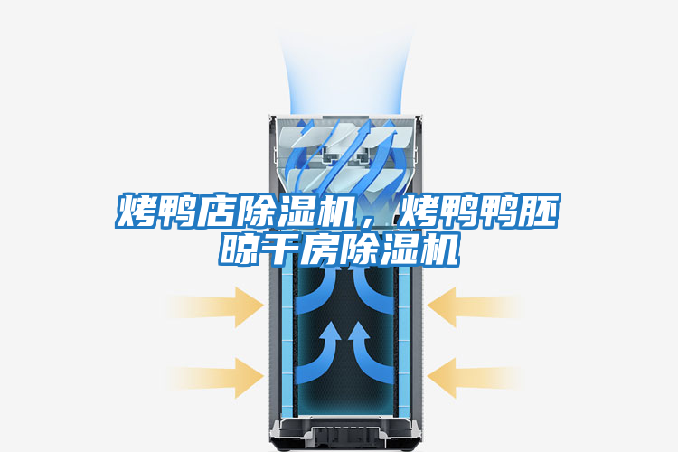 烤鴨店除濕機，烤鴨鴨胚晾干房除濕機