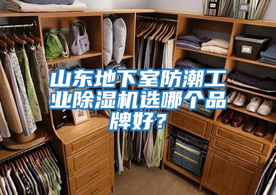山東地下室防潮工業(yè)除濕機(jī)選哪個品牌好？
