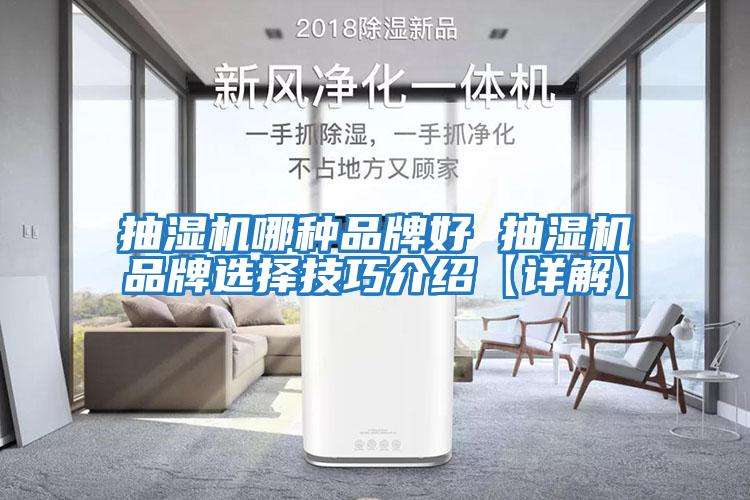 抽濕機哪種品牌好 抽濕機品牌選擇技巧介紹【詳解】