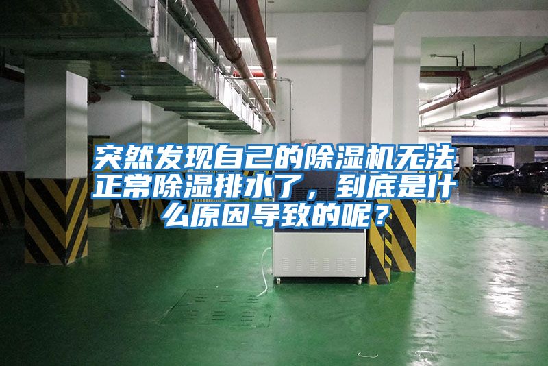 突然發(fā)現(xiàn)自己的除濕機(jī)無(wú)法正常除濕排水了，到底是什么原因?qū)е碌哪兀?/></p>
						    <p style=