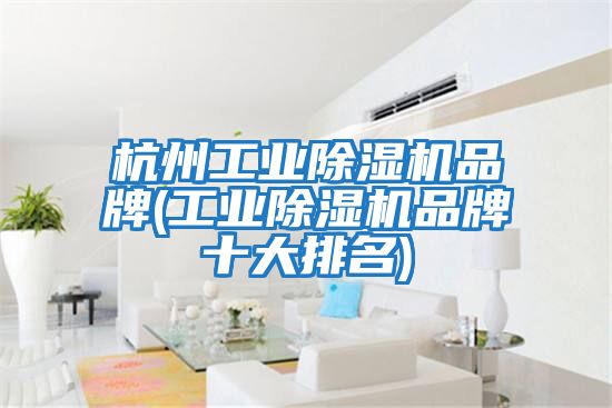 杭州工業除濕機品牌(工業除濕機品牌十大排名)
