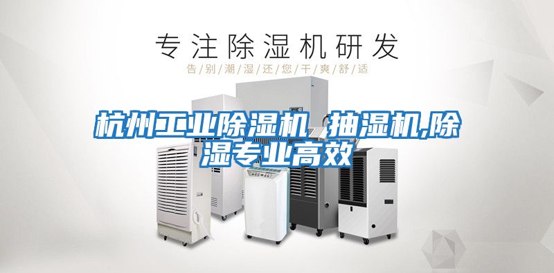 杭州工業(yè)除濕機(jī) 抽濕機(jī),除濕專(zhuān)業(yè)高效