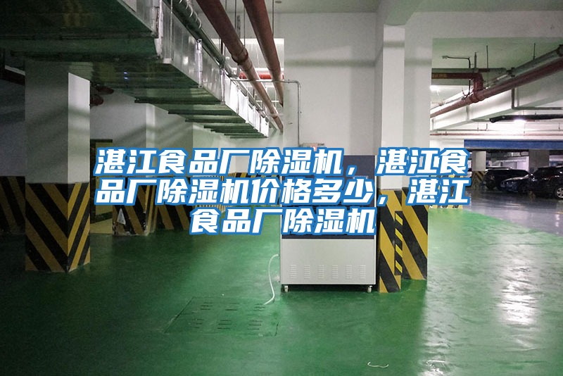 湛江食品廠除濕機，湛江食品廠除濕機價格多少，湛江食品廠除濕機