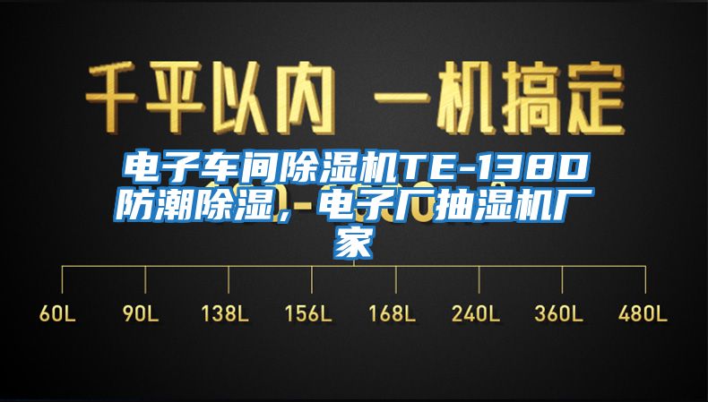 電子車間除濕機(jī)TE-138D防潮除濕，電子廠抽濕機(jī)廠家