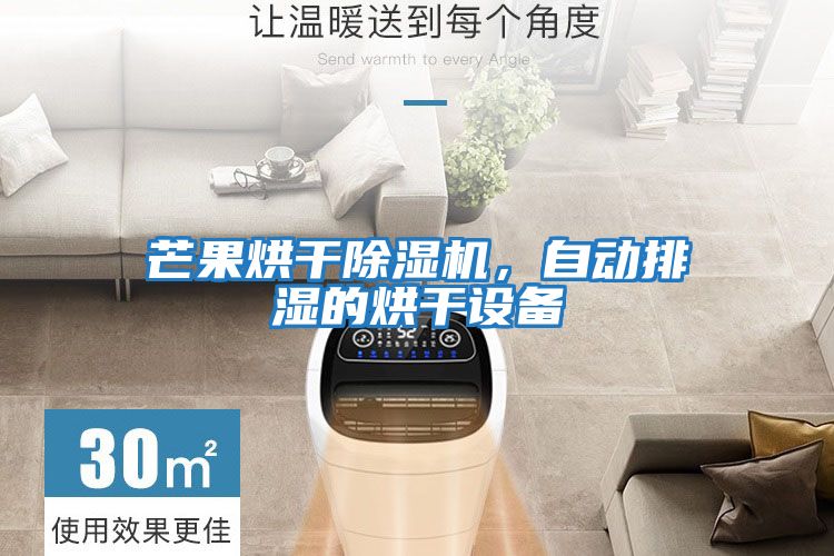 芒果烘干除濕機，自動排濕的烘干設備