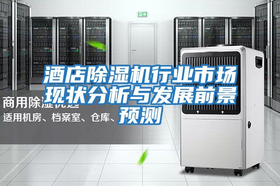 酒店除濕機行業(yè)市場現(xiàn)狀分析與發(fā)展前景預測