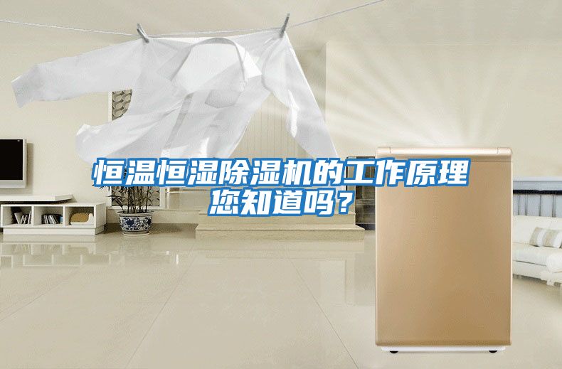 恒溫恒濕除濕機的工作原理您知道嗎？