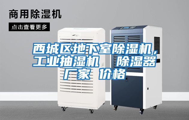 西城區地下室除濕機，工業抽濕機  除濕器廠家 價格