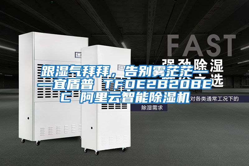 跟濕氣拜拜，告別霧茫?！硕芷?TFDE2B20BEC 阿里云智能除濕機