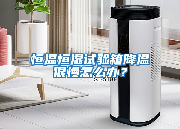 恒溫恒濕試驗(yàn)箱降溫很慢怎么辦？
