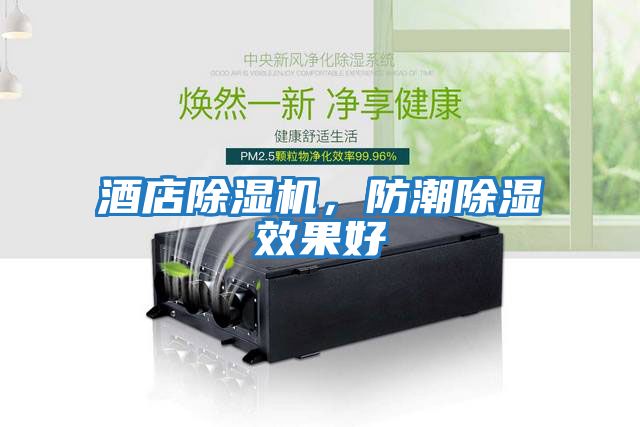 酒店除濕機，防潮除濕效果好