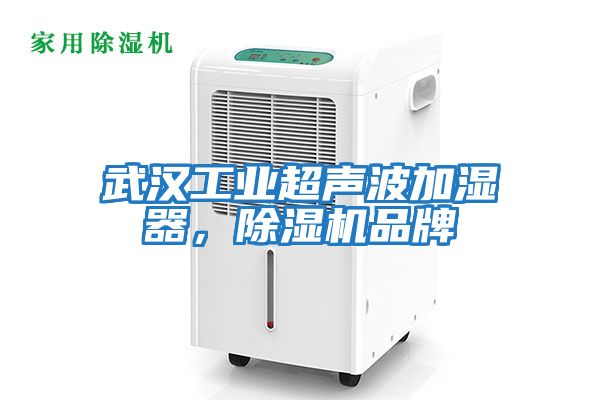 武漢工業超聲波加濕器，除濕機品牌