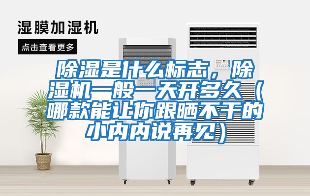 除濕是什么標(biāo)志，除濕機(jī)一般一天開多久（哪款能讓你跟曬不干的小內(nèi)內(nèi)說再見）
