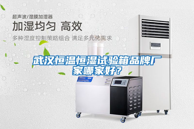 武漢恒溫恒濕試驗(yàn)箱品牌廠家哪家好？