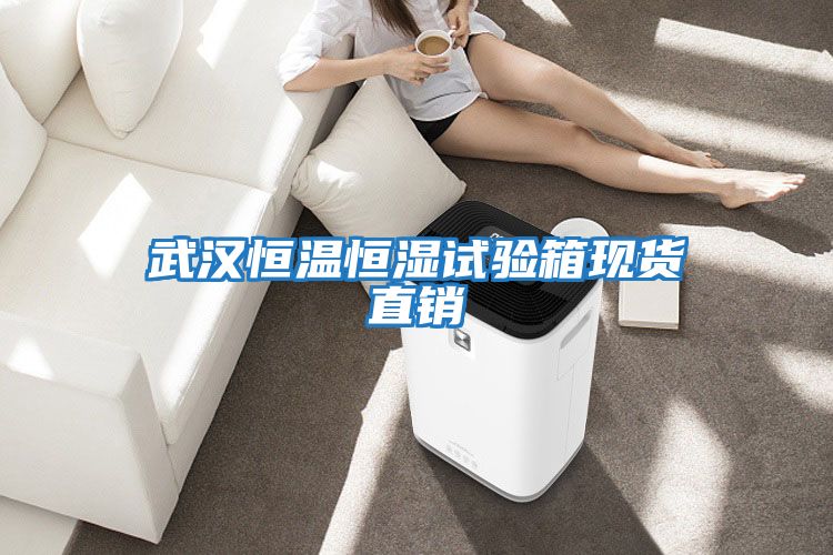 武漢恒溫恒濕試驗箱現貨直銷