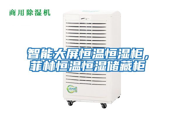 智能大屏恒溫恒濕柜，菲林恒溫恒濕儲藏柜