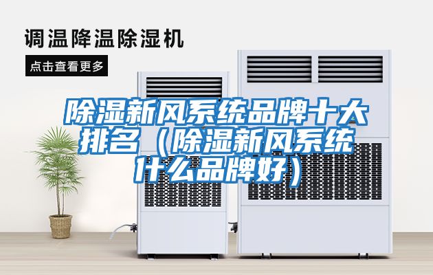 除濕新風系統品牌十大排名（除濕新風系統什么品牌好）