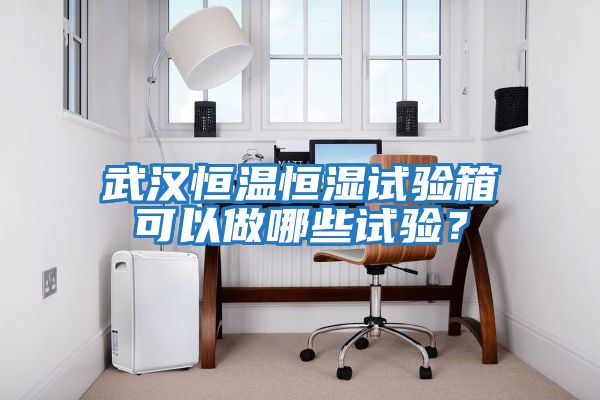 武漢恒溫恒濕試驗箱可以做哪些試驗？