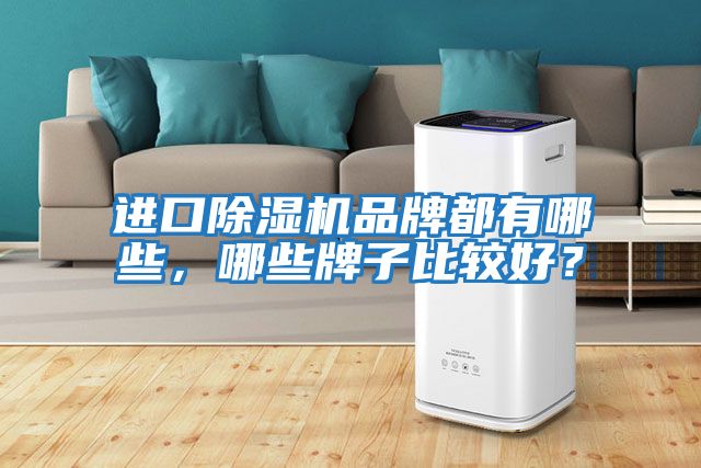 進(jìn)口除濕機(jī)品牌都有哪些，哪些牌子比較好？