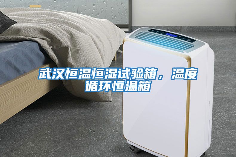 武漢恒溫恒濕試驗(yàn)箱，溫度循環(huán)恒溫箱