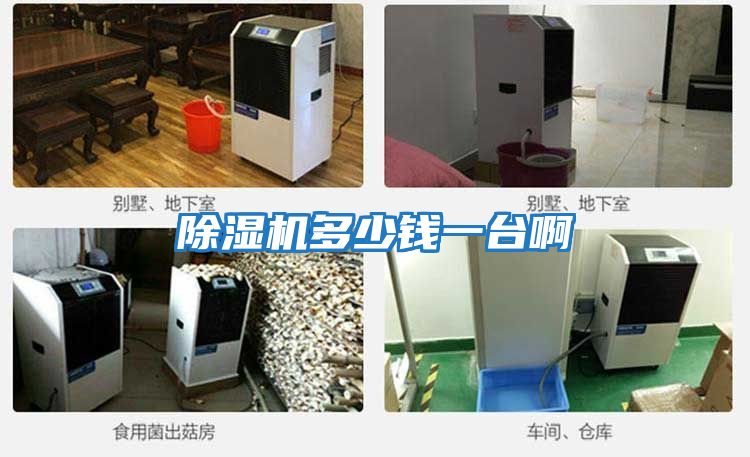 除濕機(jī)多少錢一臺啊
