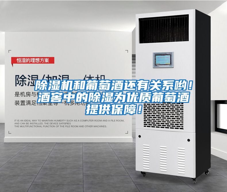 除濕機和葡萄酒還有關(guān)系喲！酒窖中的除濕為優(yōu)質(zhì)葡萄酒提供保障！