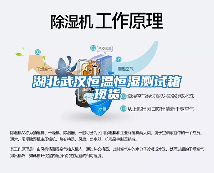 湖北武漢恒溫恒濕測試箱現貨