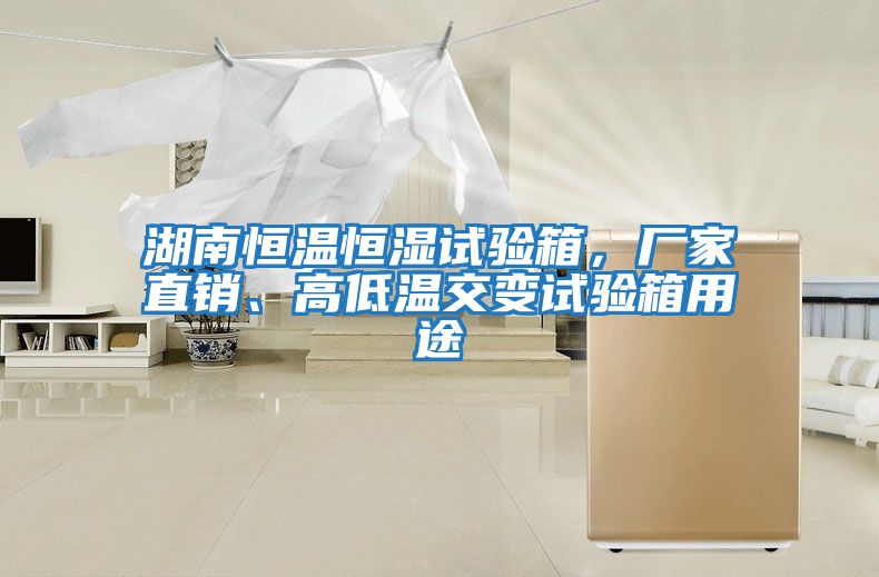 湖南恒溫恒濕試驗(yàn)箱，廠家直銷(xiāo)、高低溫交變?cè)囼?yàn)箱用途