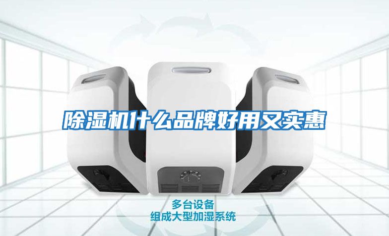 除濕機(jī)什么品牌好用又實惠