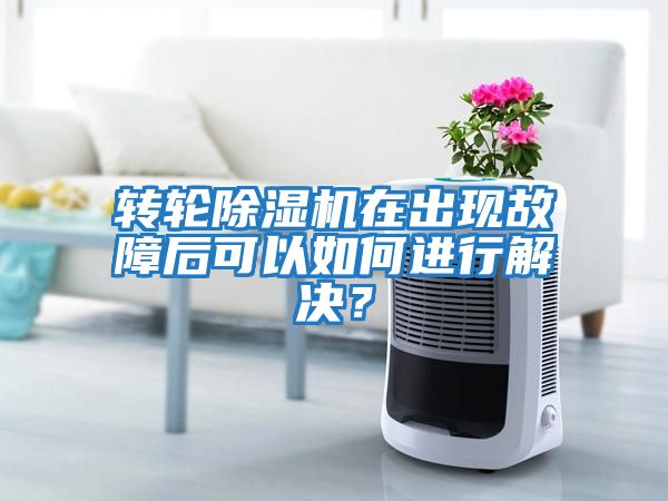 轉輪除濕機在出現故障后可以如何進行解決？