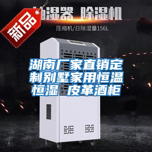 湖南廠(chǎng)家直銷(xiāo)定制別墅家用恒溫恒濕 皮革酒柜