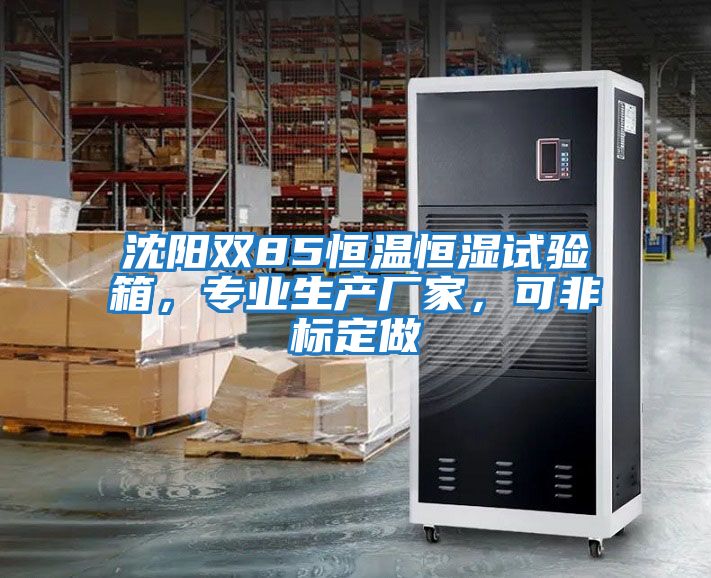 沈陽雙85恒溫恒濕試驗(yàn)箱，專業(yè)生產(chǎn)廠家，可非標(biāo)定做