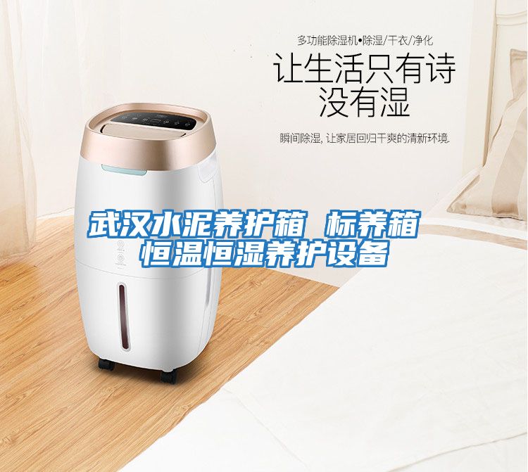 武漢水泥養護箱 標養箱 恒溫恒濕養護設備