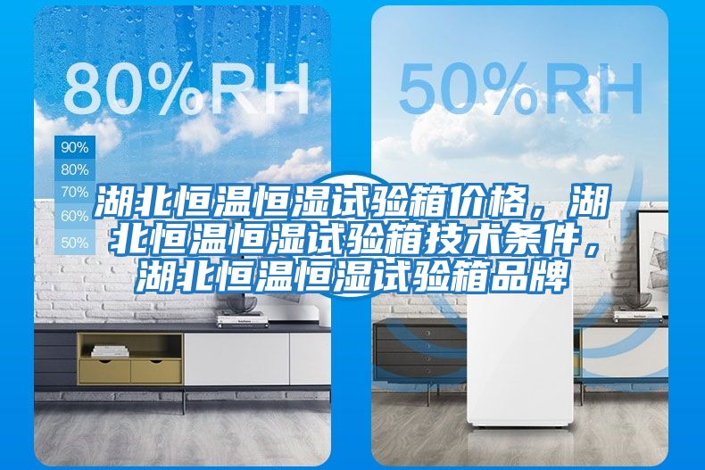 湖北恒溫恒濕試驗箱價格，湖北恒溫恒濕試驗箱技術條件，湖北恒溫恒濕試驗箱品牌