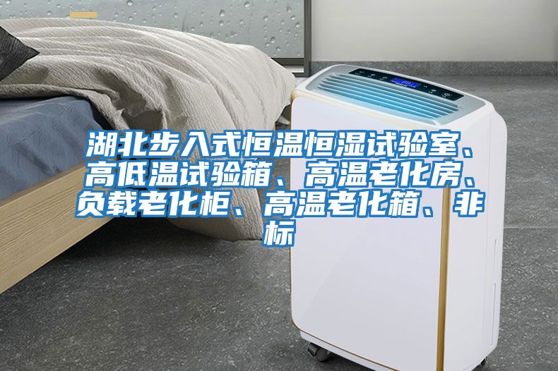 湖北步入式恒溫恒濕試驗(yàn)室、高低溫試驗(yàn)箱、高溫老化房、負(fù)載老化柜、高溫老化箱、非標(biāo)
