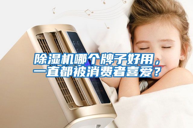 除濕機哪個牌子好用，一直都被消費者喜愛？