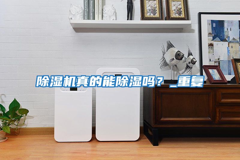 除濕機真的能除濕嗎？_重復(fù)