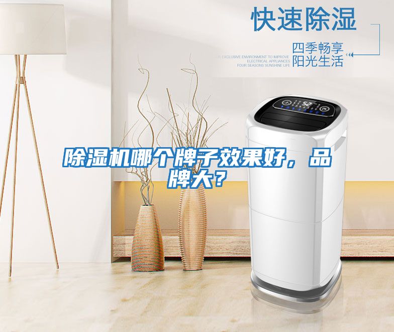 除濕機哪個牌子效果好，品牌大？