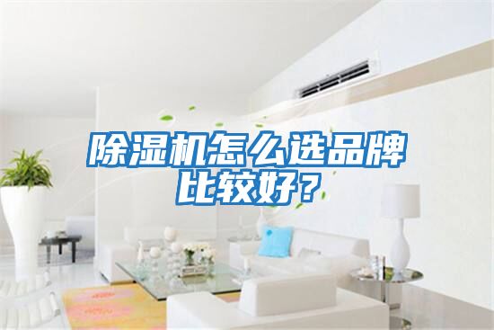 除濕機(jī)怎么選品牌比較好？