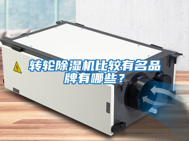 轉輪除濕機比較有名品牌有哪些？