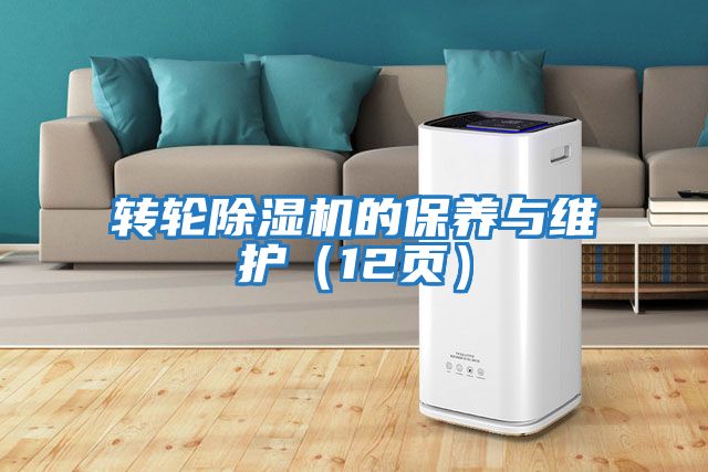 轉(zhuǎn)輪除濕機的保養(yǎng)與維護(hù)（12頁）