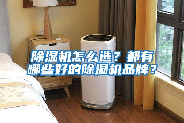 除濕機(jī)怎么選？都有哪些好的除濕機(jī)品牌？