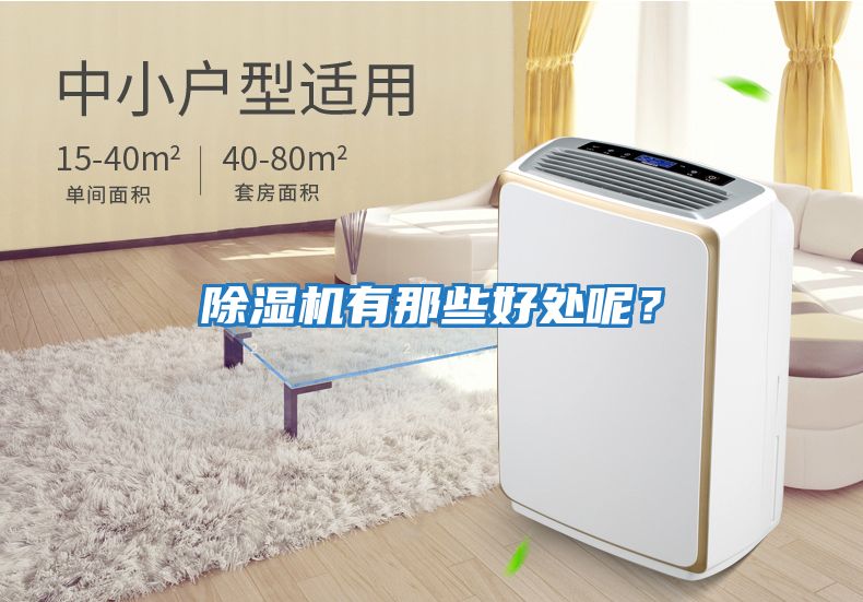 除濕機有那些好處呢？